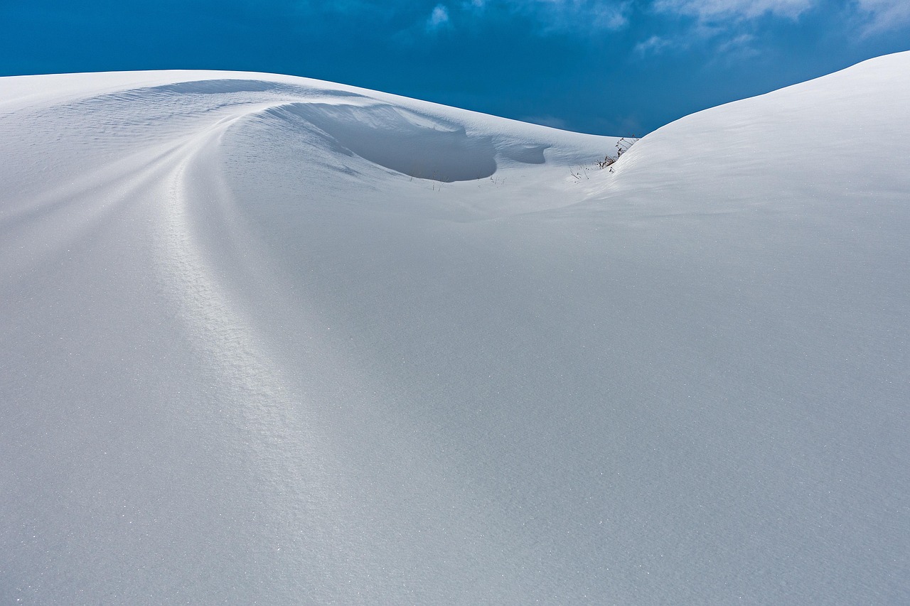 Snow, new zealand, snowdrift — Affordable Essays Online - The Way To Avoid Being Scammed!