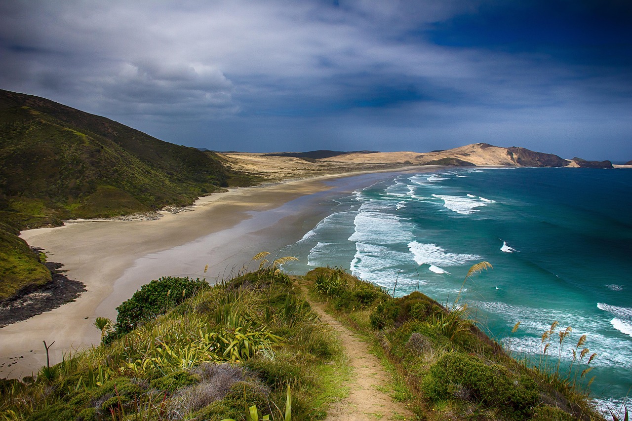 Beach, coast, sea — Benefits of Professional Detox Programs for Addiction Recovery