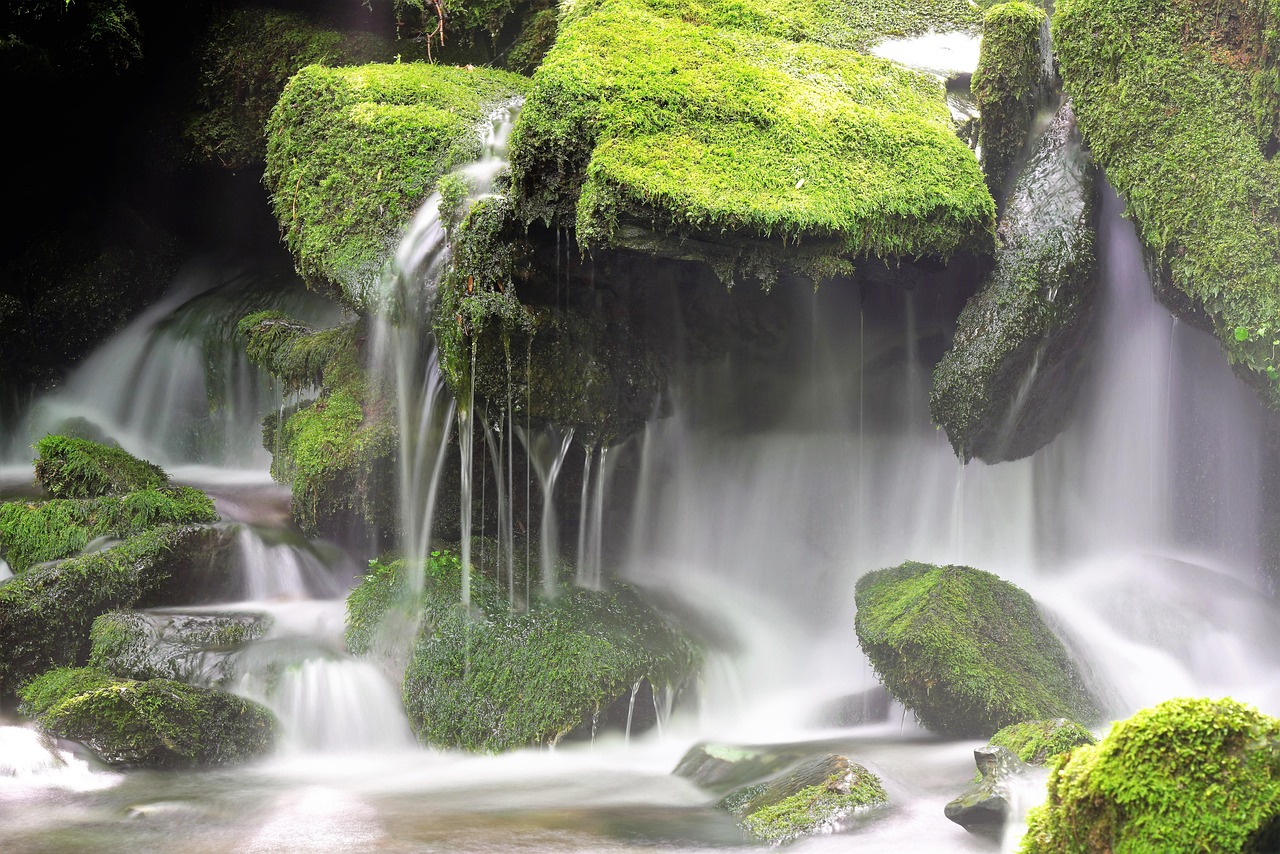 Moss, waterfall, nature — Discover Powerful Features and Reliable Access with Monster IPTV