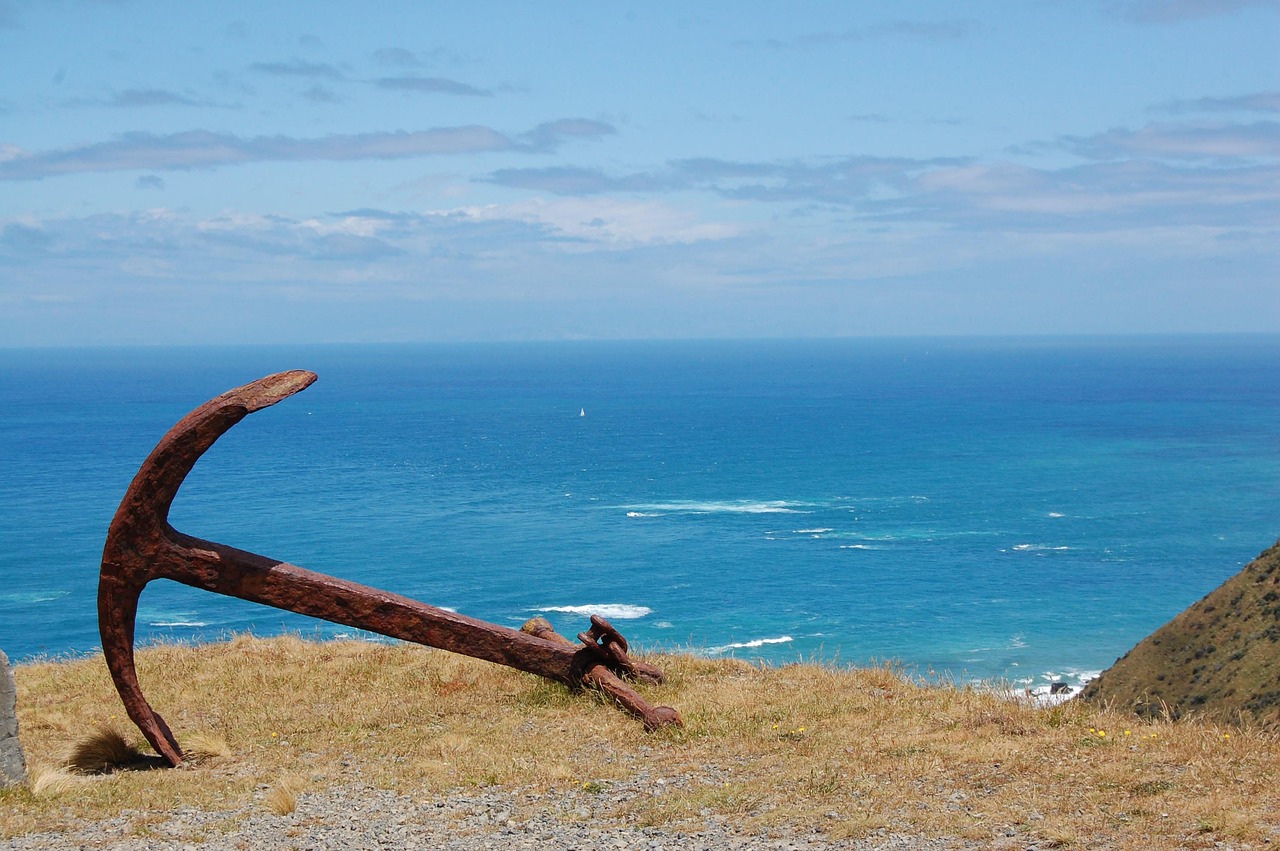 New zealand, sea, beach — Mother board Portal Computer software