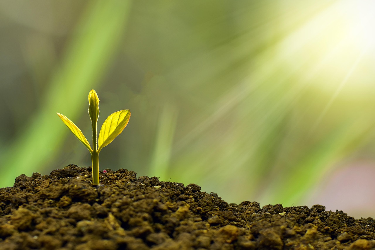 Investment, concept, business — Sal Salvo: Turning Complex Financial Decisions Into Clarity