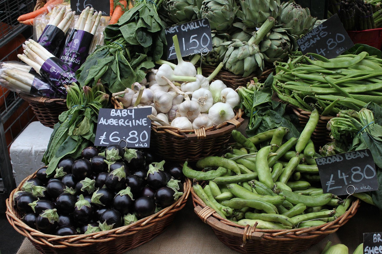 Market, vegetables, eggplant — Understanding the Therapeutic Effects of Tapentadol 100mg