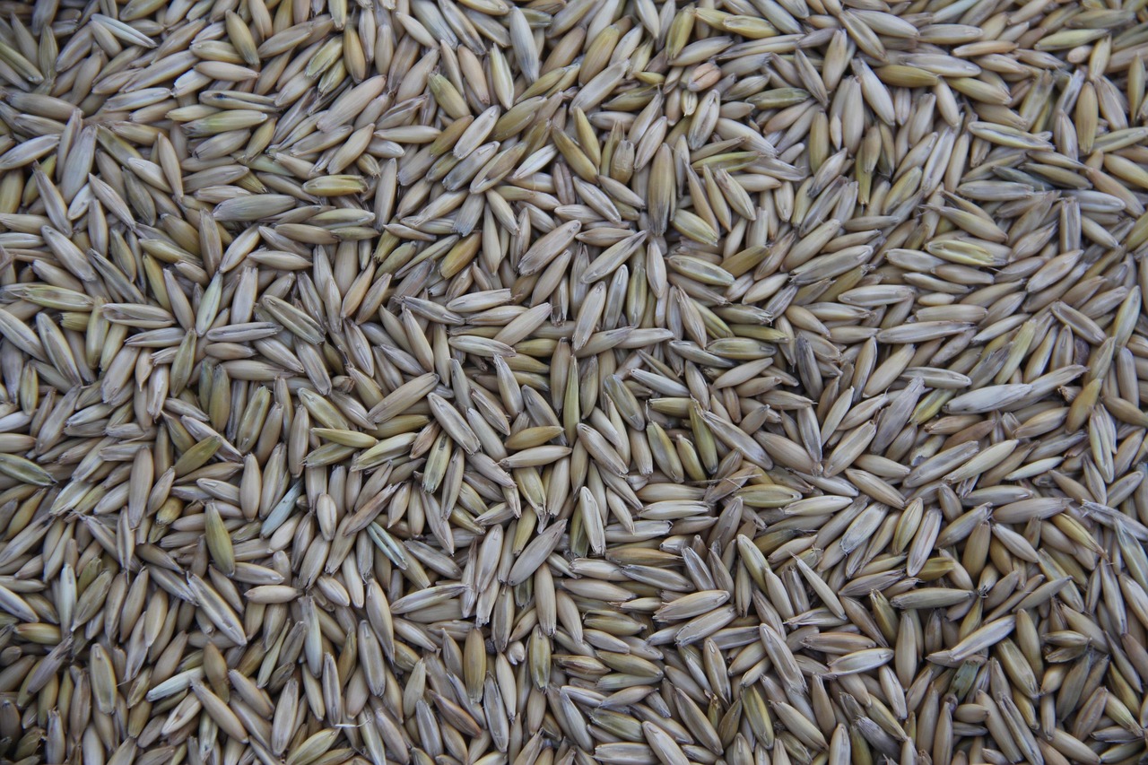Cereal, grain, farming — Using Infrared Sauna Therapy Thoughtfully in a Recovery-Focused Week: Matching Services To The Momen